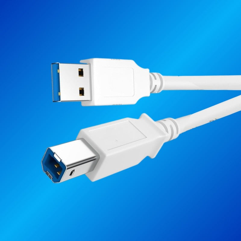Champion USB Printer Cable | USB A to B High-Speed Cord for Printers & Scanners