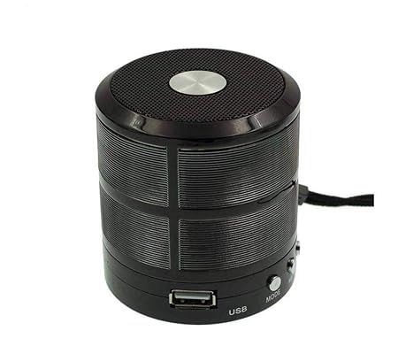 Wireless Bluetooth Speaker WS-887 (Black)