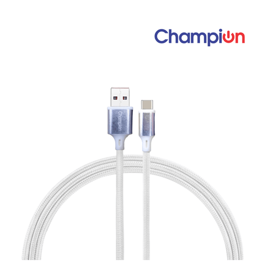 Data Cable Type-C Braided Metal 65W 1Mtr (White)
