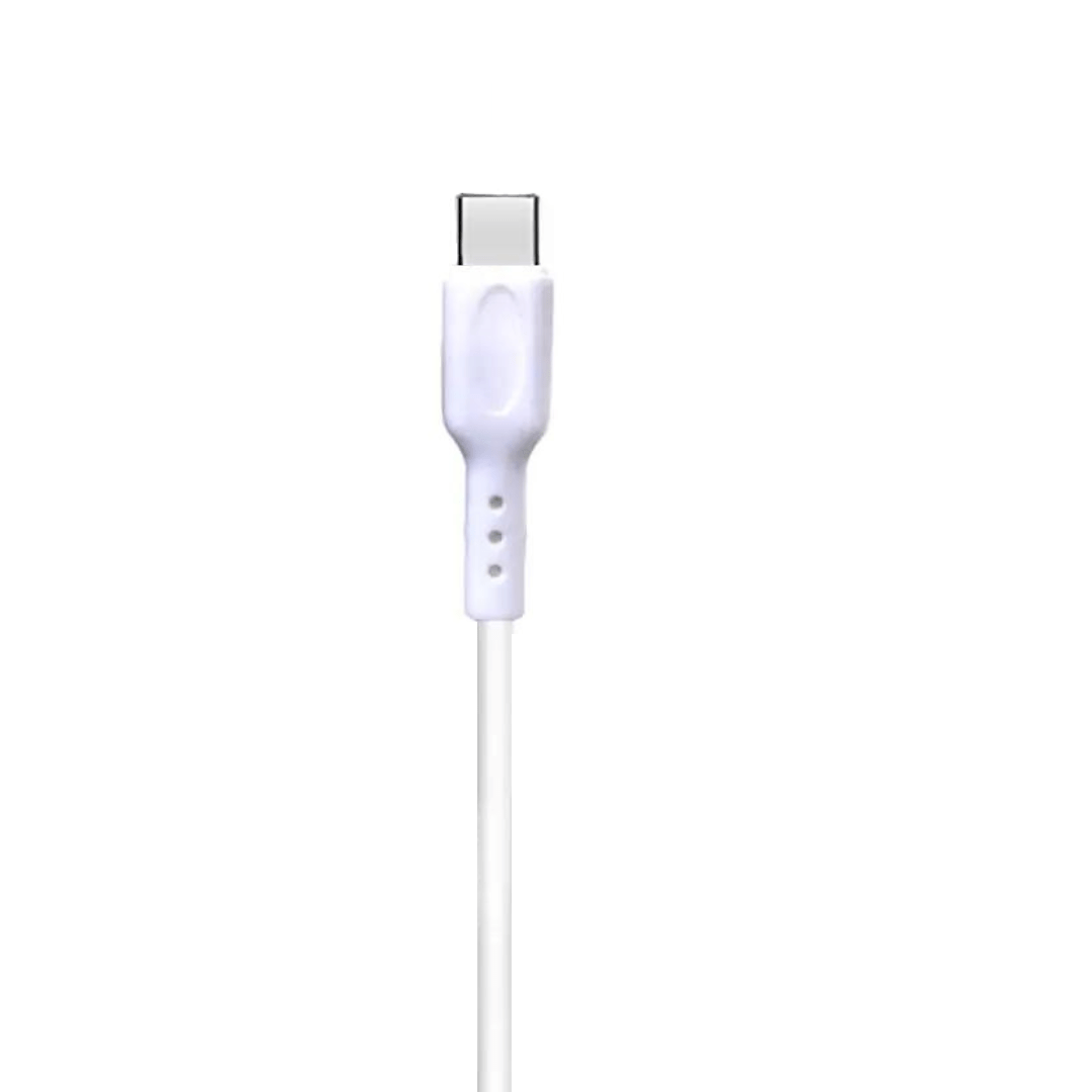 Champion Type-C to C 3Amp Data Sync & Charging Cable PVC 1M Compatible with All Type C Devices (White)